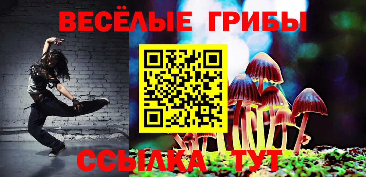 Псилоцибиновые грибы Magic Shrooms Нурлат