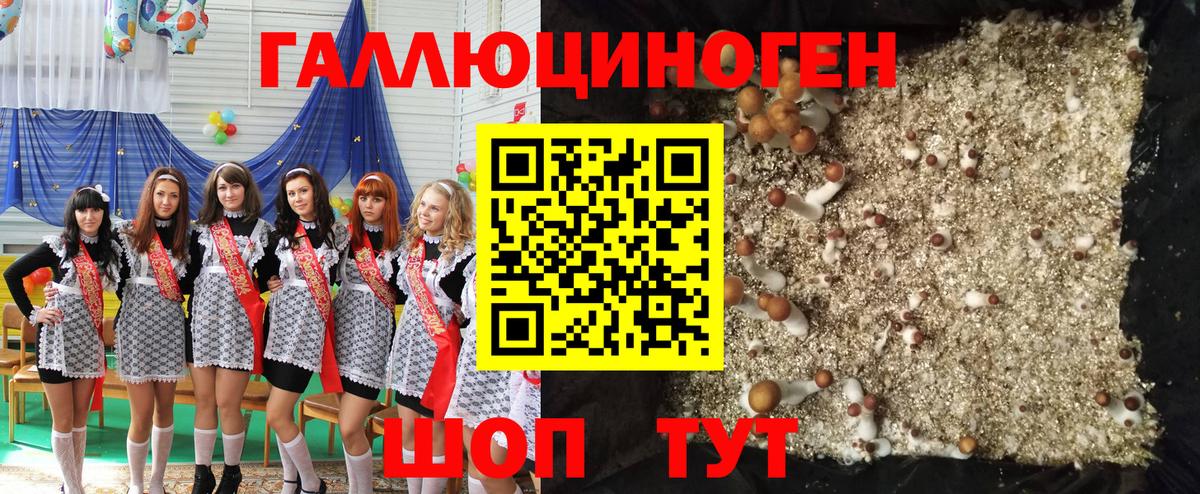 Псилоцибиновые грибы MAGIC MUSHROOMS  Вход с VPN  Нурлат 